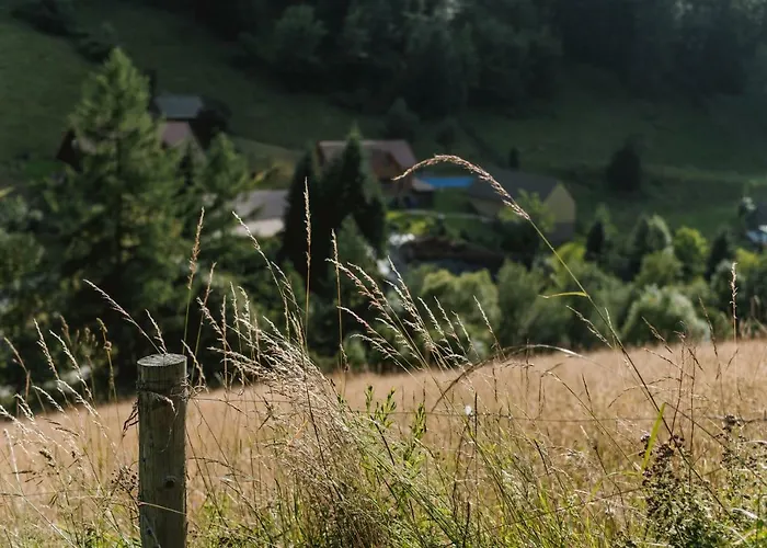 Domek alpejski Góralski